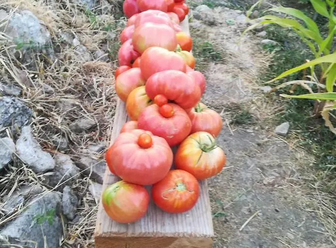 Nocleg ze śniadaniem Salvatierra Ronda